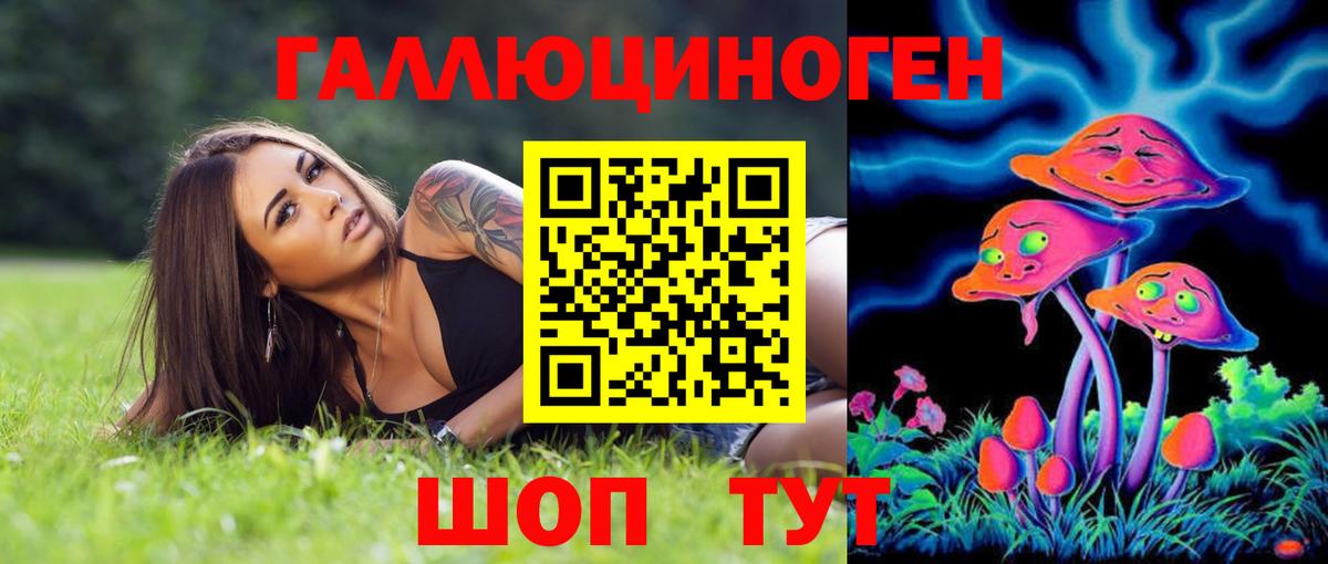 Галлюциногенные грибы Psilocybine cubensis  Вход с VPN  Галлюциногенные грибы Psilocybe  Городец 